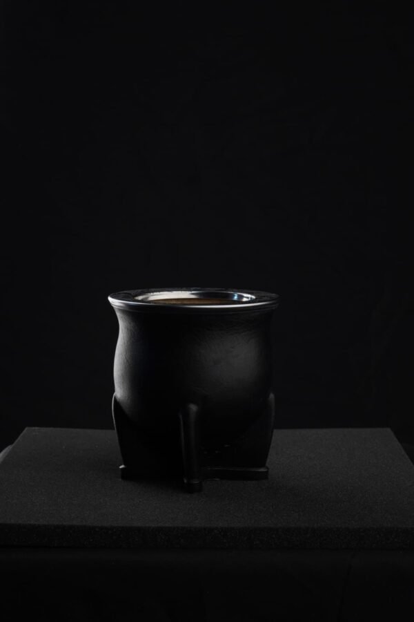 Camionero de Calabaza